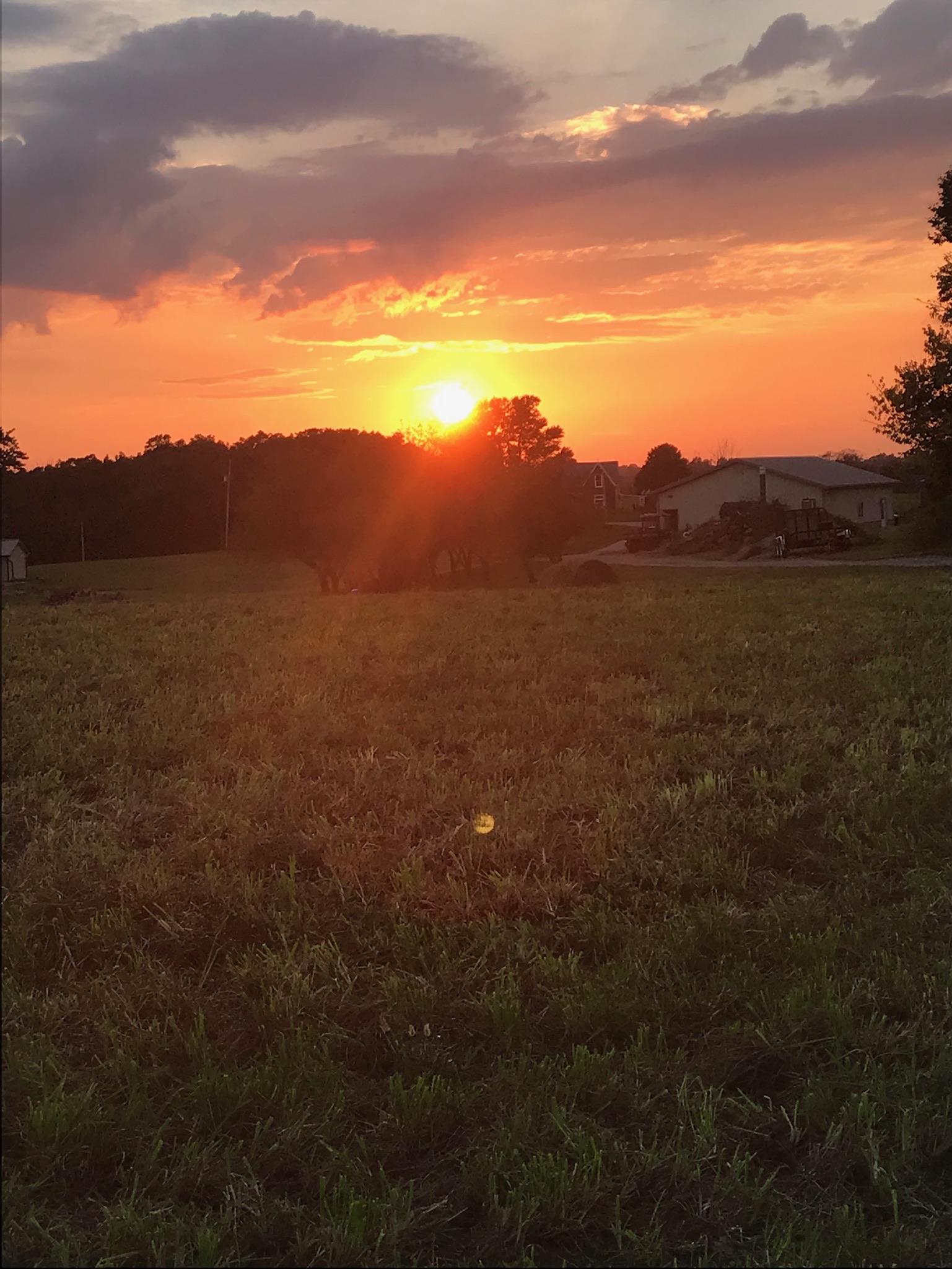Sunset over a grassy field with vibrant orange and pink hues in the sky, silhouetting trees and a distant house, creating a serene rural landscape.
